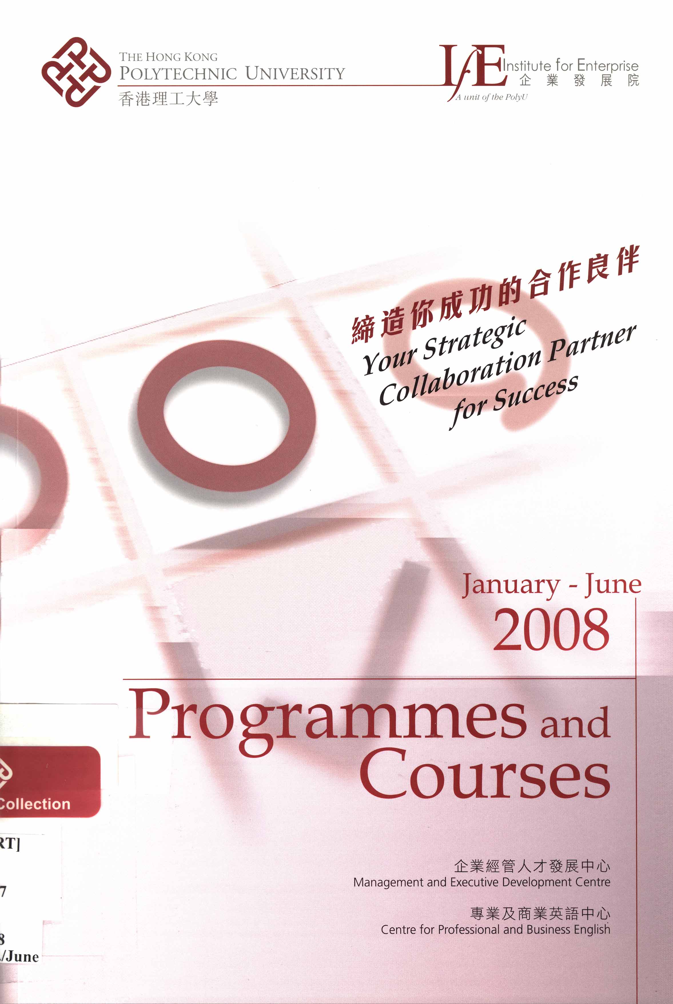 Institute for Enterprise: programmes and courses. Jan-June 2008