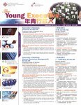 The Young executive. Vol. 13